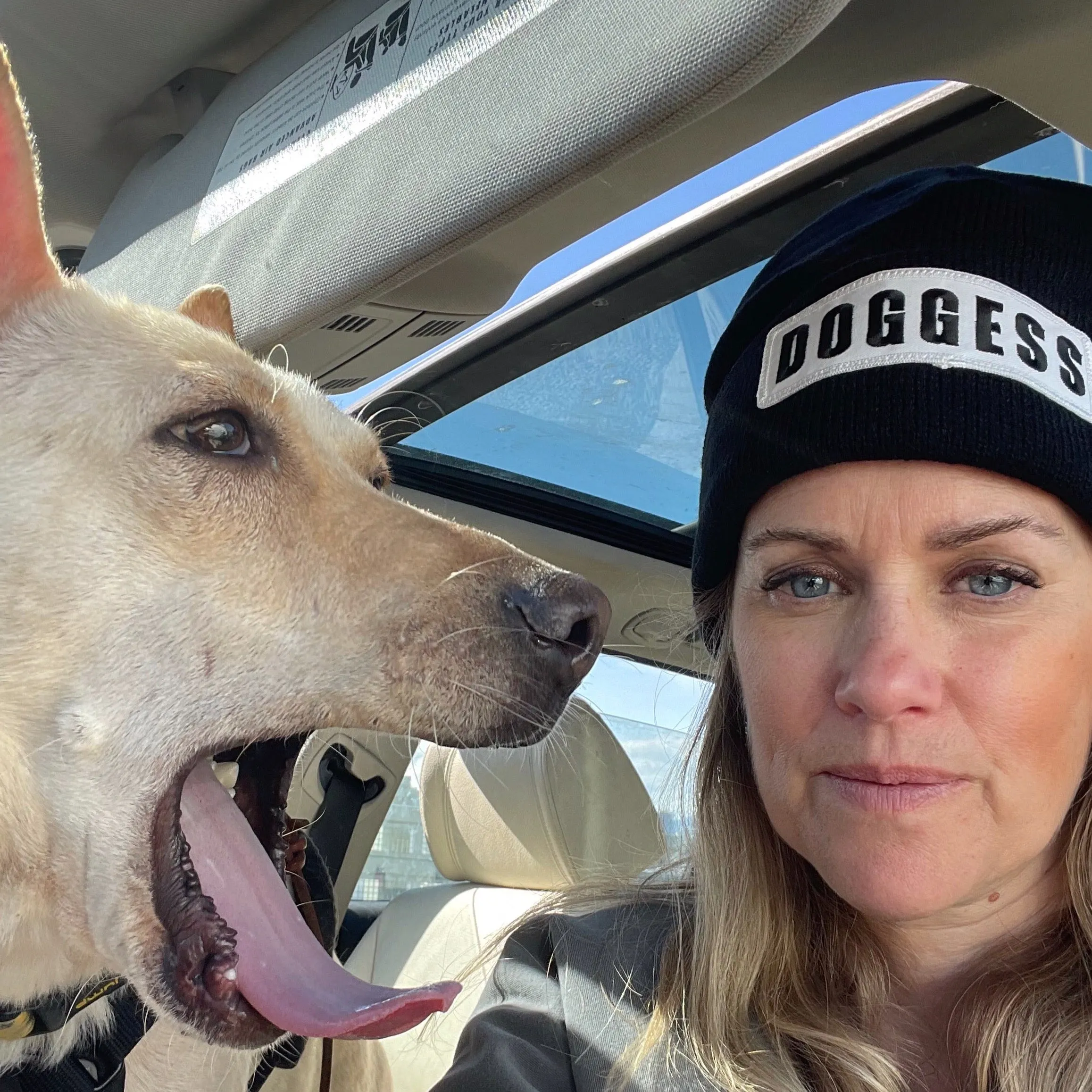 Doggess Toque | wht w/ blk